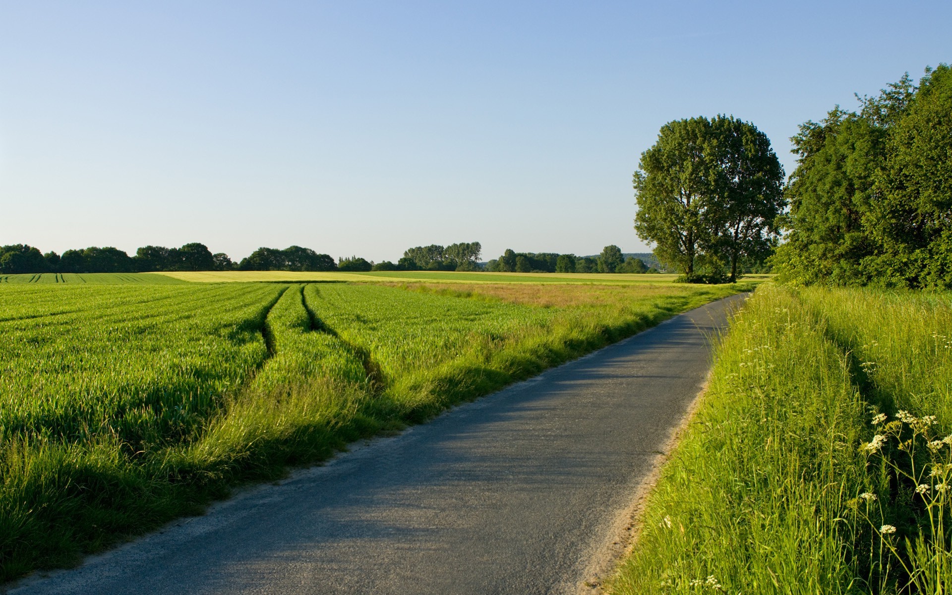 nature, Road, Grass Wallpapers HD / Desktop and Mobile ...