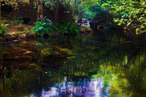 nature, River, Colorful