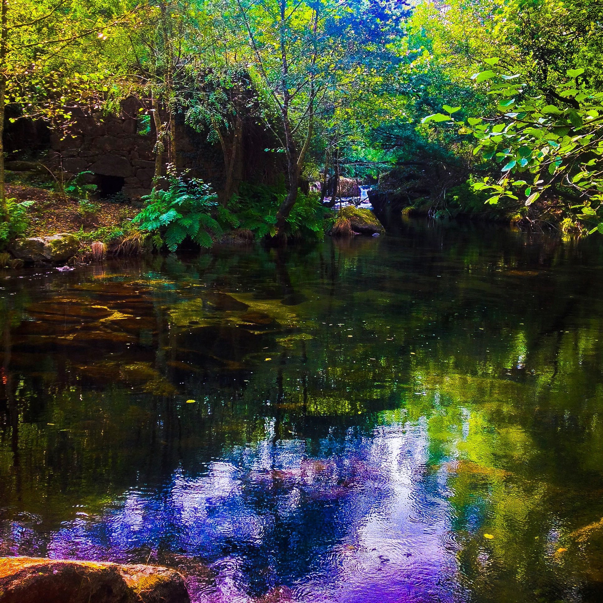 nature, River, Colorful Wallpaper