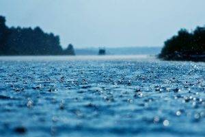 depth Of Field, Lake, Water, Rain