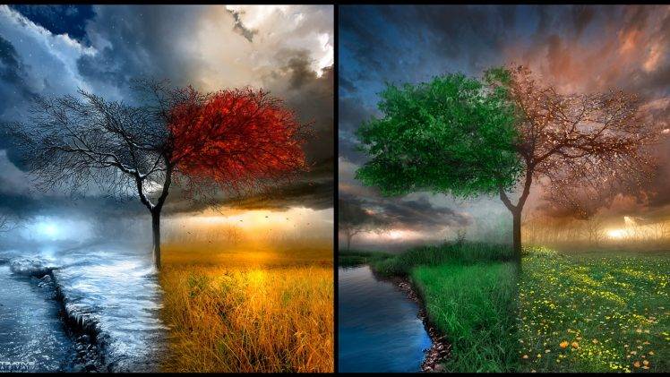 nature, Seasons HD Wallpaper Desktop Background