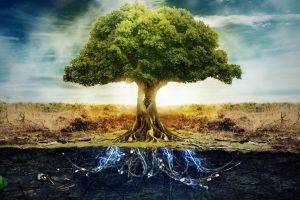 anime, Technology, Peace, Photo Manipulation, Electricity, Trees, Split View, Roots, Skeleton, Digital Art