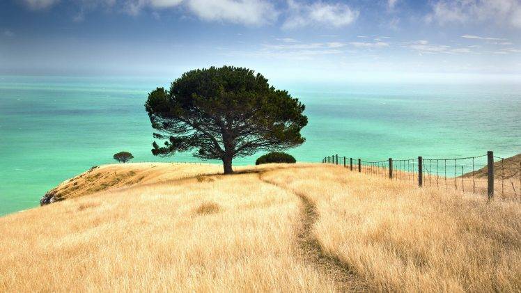 nature, Sea, Trees, Fence, Path HD Wallpaper Desktop Background