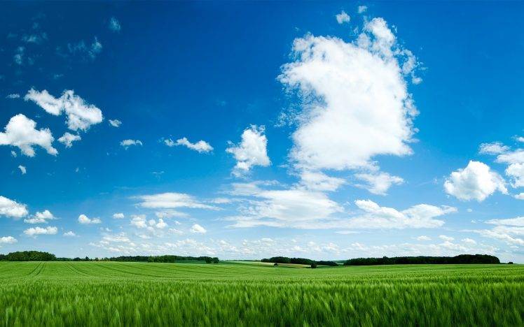 nature, Grass, Clouds HD Wallpaper Desktop Background
