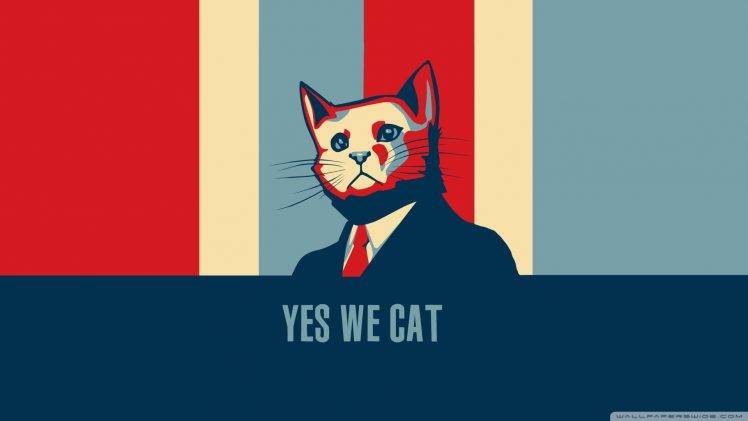 cat, Barack Obama, Humor, Hope Posters HD Wallpaper Desktop Background