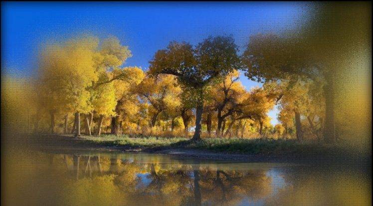 lake, Trees HD Wallpaper Desktop Background