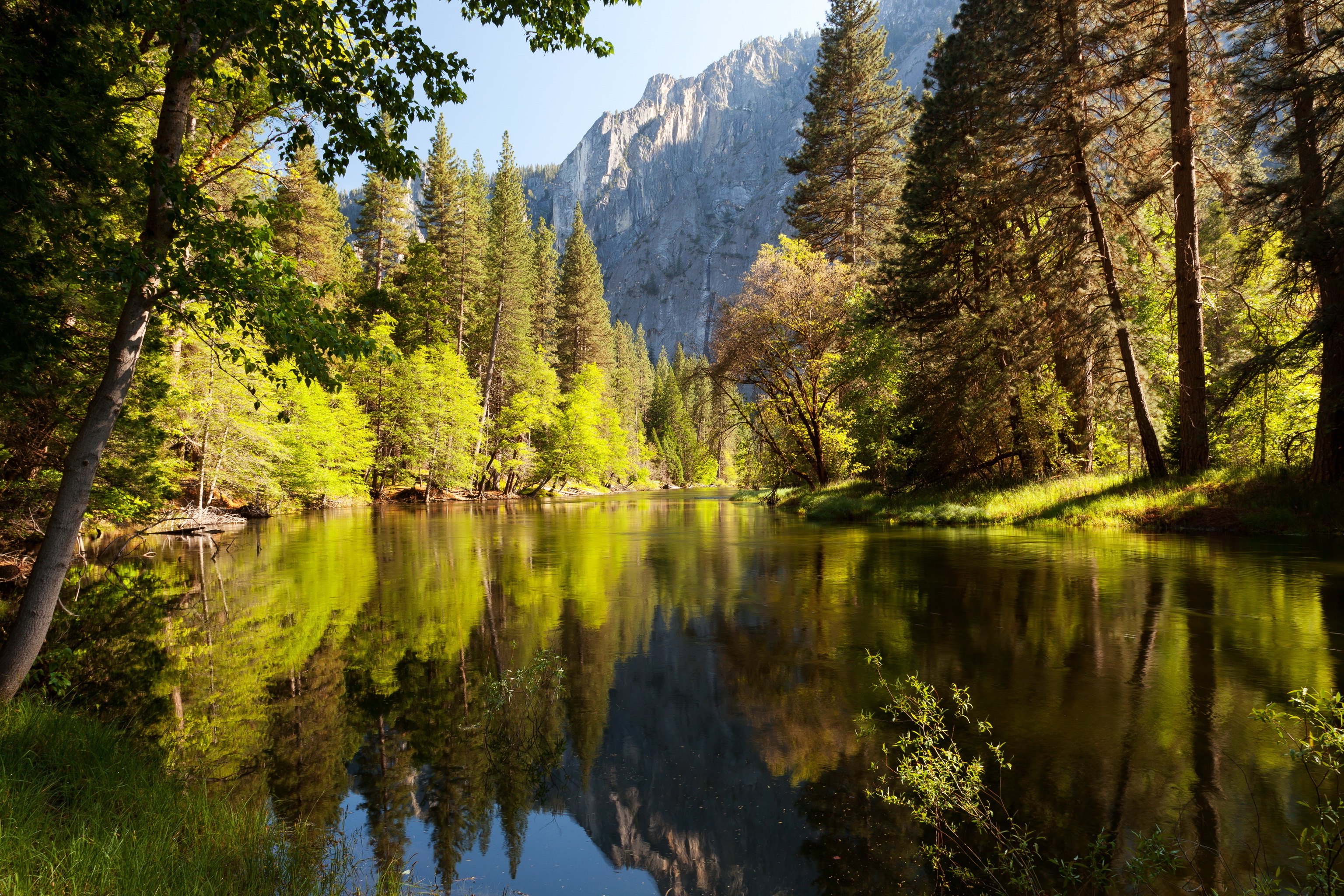 Lake With Trees