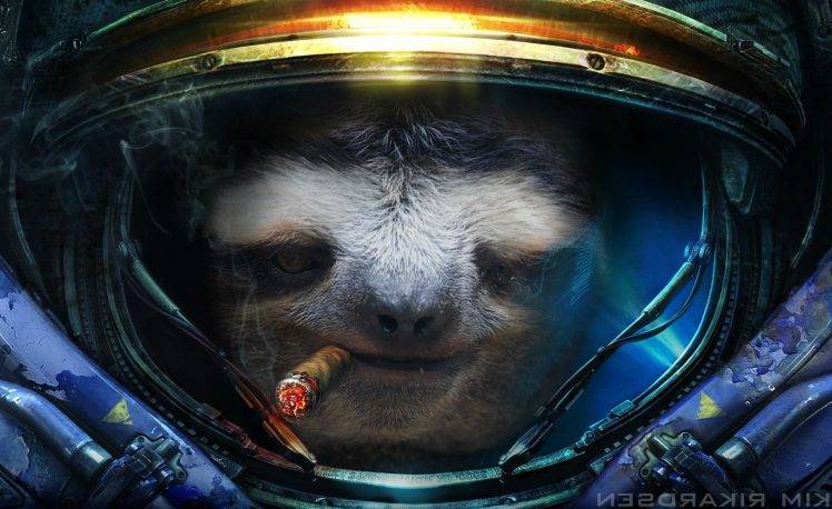 Starcraft II, Sloths, Cigars, Humor HD Wallpaper Desktop Background