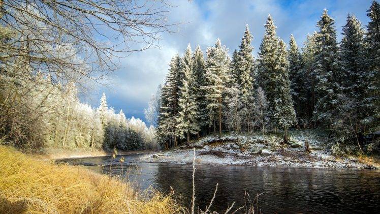 nature, River, Forest, Trees, Snow HD Wallpaper Desktop Background