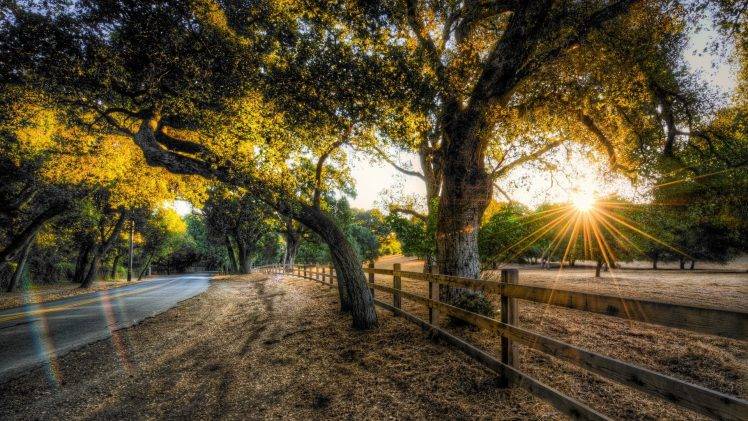 nature, HDR, Sunset, Trees, Road, Fence HD Wallpaper Desktop Background