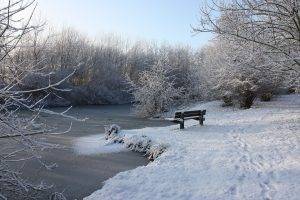 landscape, Nature, Snow, Trees, River, Ice, Bench