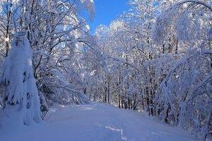 nature, Trees, Snow, Landscape