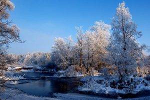 nature, Trees, Snow, River, Landscape