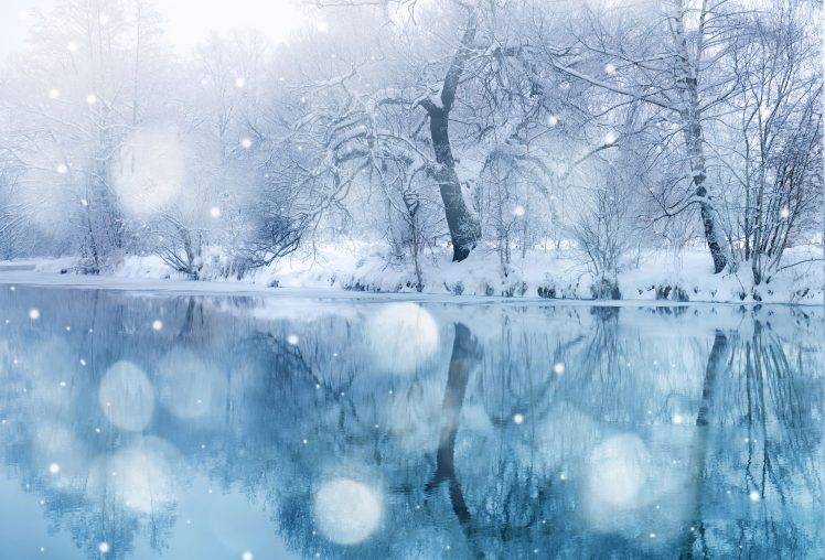 snow, Nature, Trees HD Wallpaper Desktop Background
