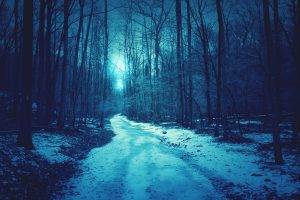 nature, Forest, Snow, Path, Trees, Dirt Road