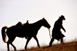 horse, Cowboys, Animals