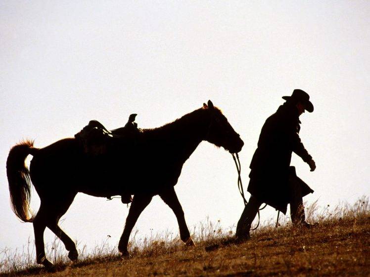 horse, Cowboys, Animals HD Wallpaper Desktop Background