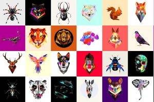 Justin Maller, Animals, Low Poly, Facets