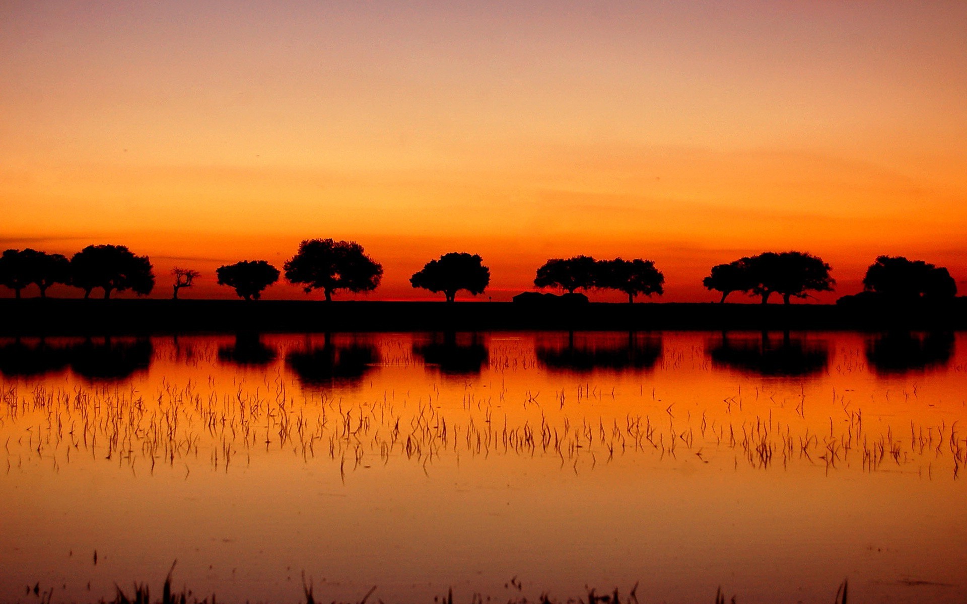 landscape, Silhouette, Sunset, Trees, Reflection Wallpaper