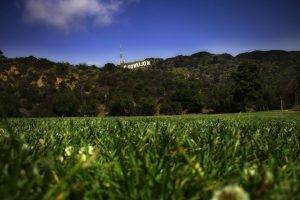 landscape, Worms Eye View, Grass, Hollywood, Signs, Hill, California