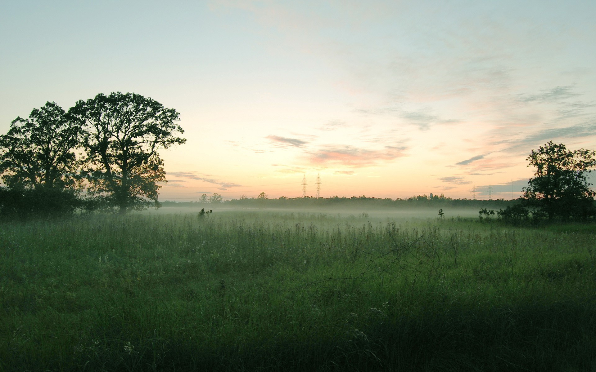 landscape, Field, Mist Wallpaper