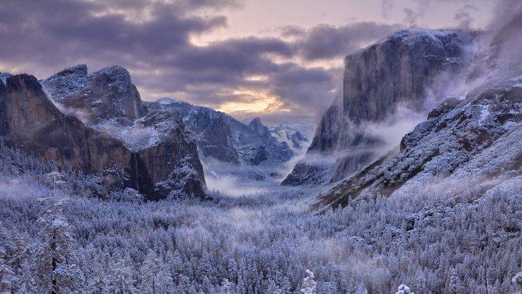 nature, Snow, Trees, Mountain HD Wallpaper Desktop Background