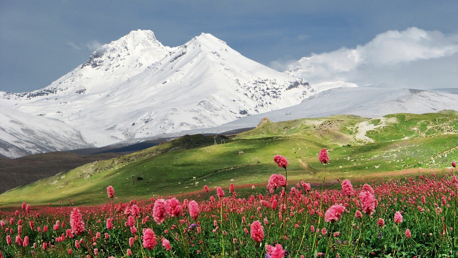 landscape Wallpaper