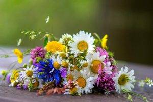 bouquets, Flowers, Daisies