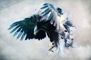 eagle, Artwork, Digital Art