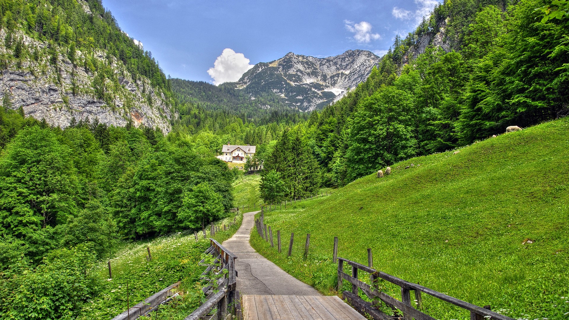 landscape, Nature Wallpaper