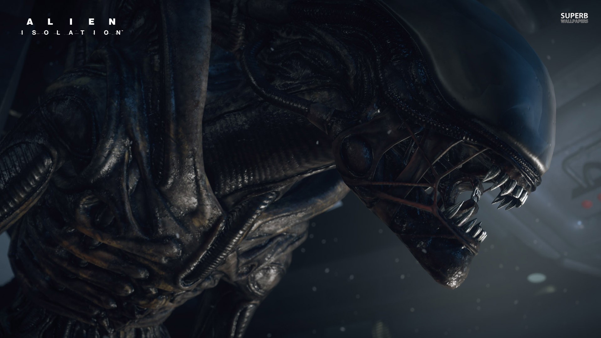 Alien: Isolation, Xenomorph, Video Games Wallpaper