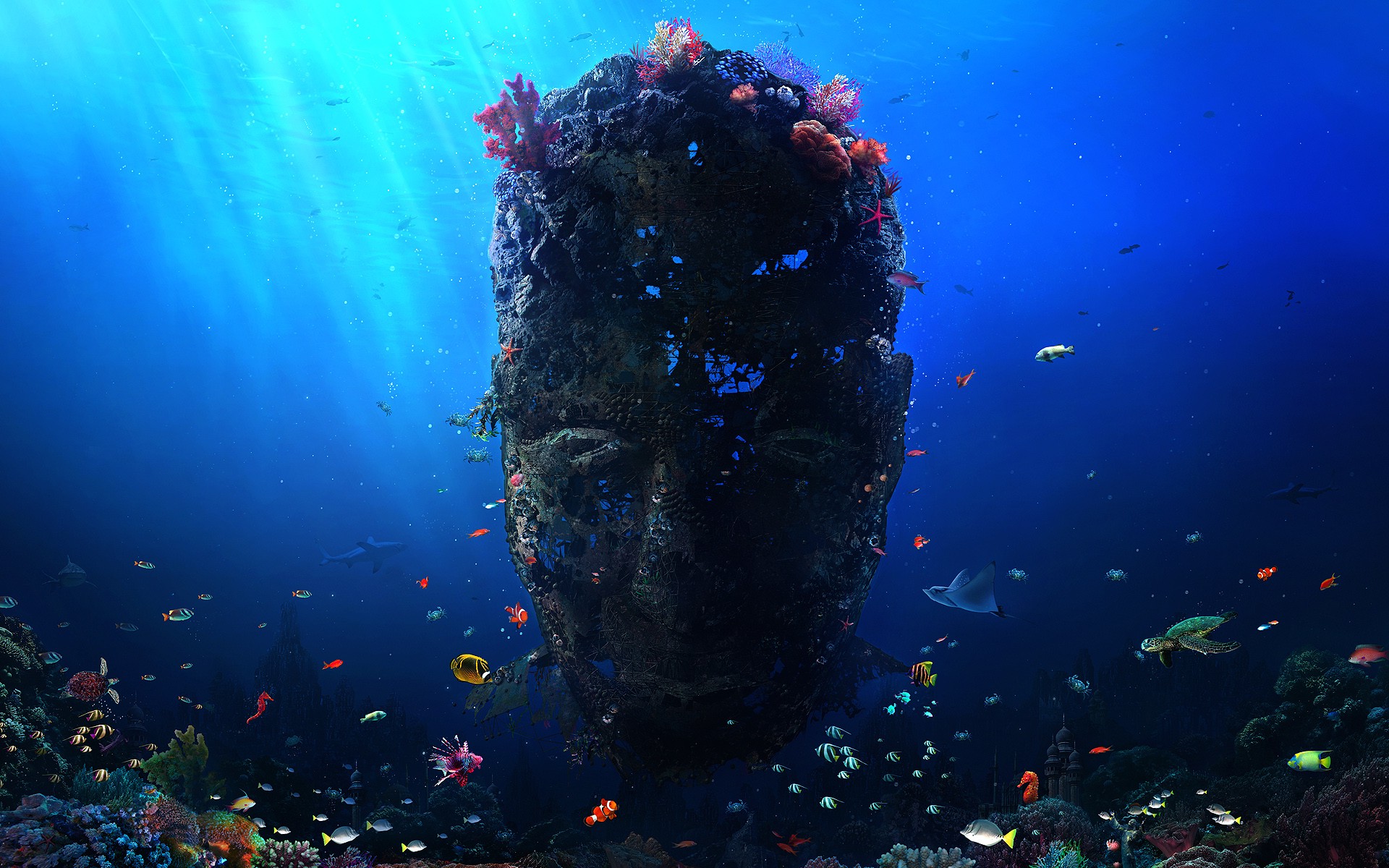 face, Digital Art, Coral, Fish, Underwater, Sunlight Wallpaper