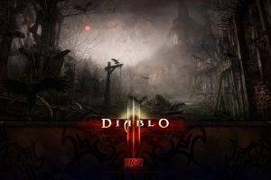 Diablo III, Video Games, Blizzard Entertainment