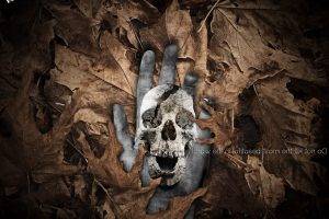nature, Death, Skull, Leaves, Photo Manipulation, Adobe Photoshop