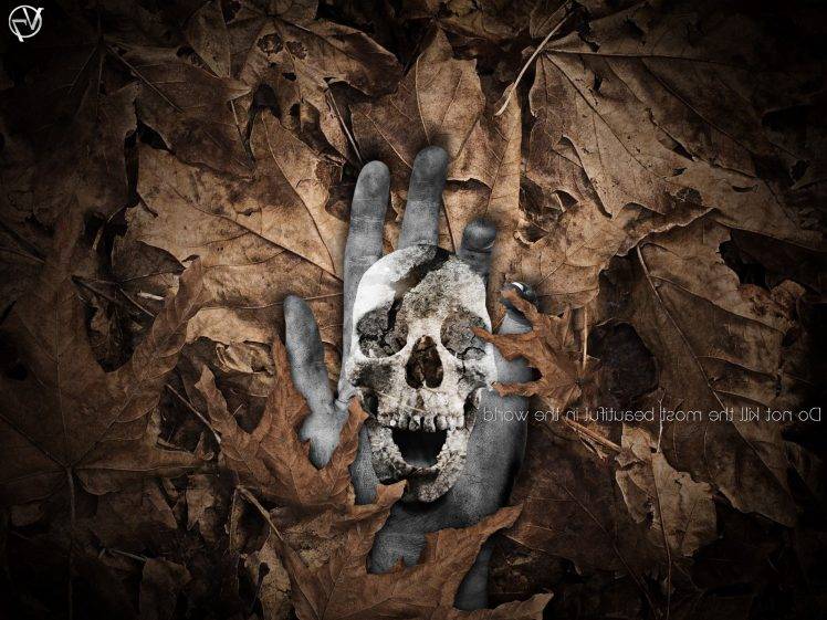 nature, Death, Skull, Leaves, Photo Manipulation, Adobe Photoshop HD Wallpaper Desktop Background
