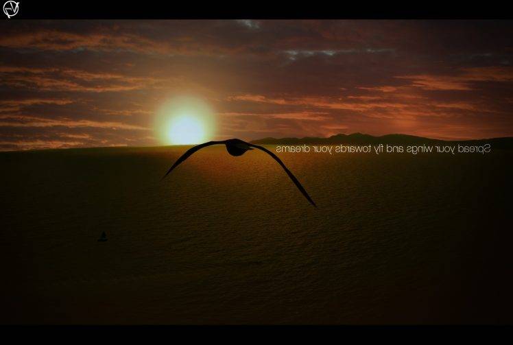 birds, Flying, Fly, Sunlight, Sunset, Landscape, Animals, Photo Manipulation, Adobe Photoshop HD Wallpaper Desktop Background