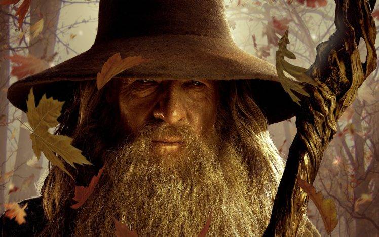 The Lord Of The Rings, Gandalf, The Hobbit, Ian McKellen HD Wallpaper Desktop Background