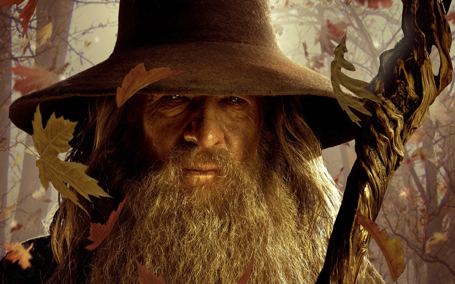 The Lord Of The Rings, Gandalf, The Hobbit, Ian McKellen Wallpaper