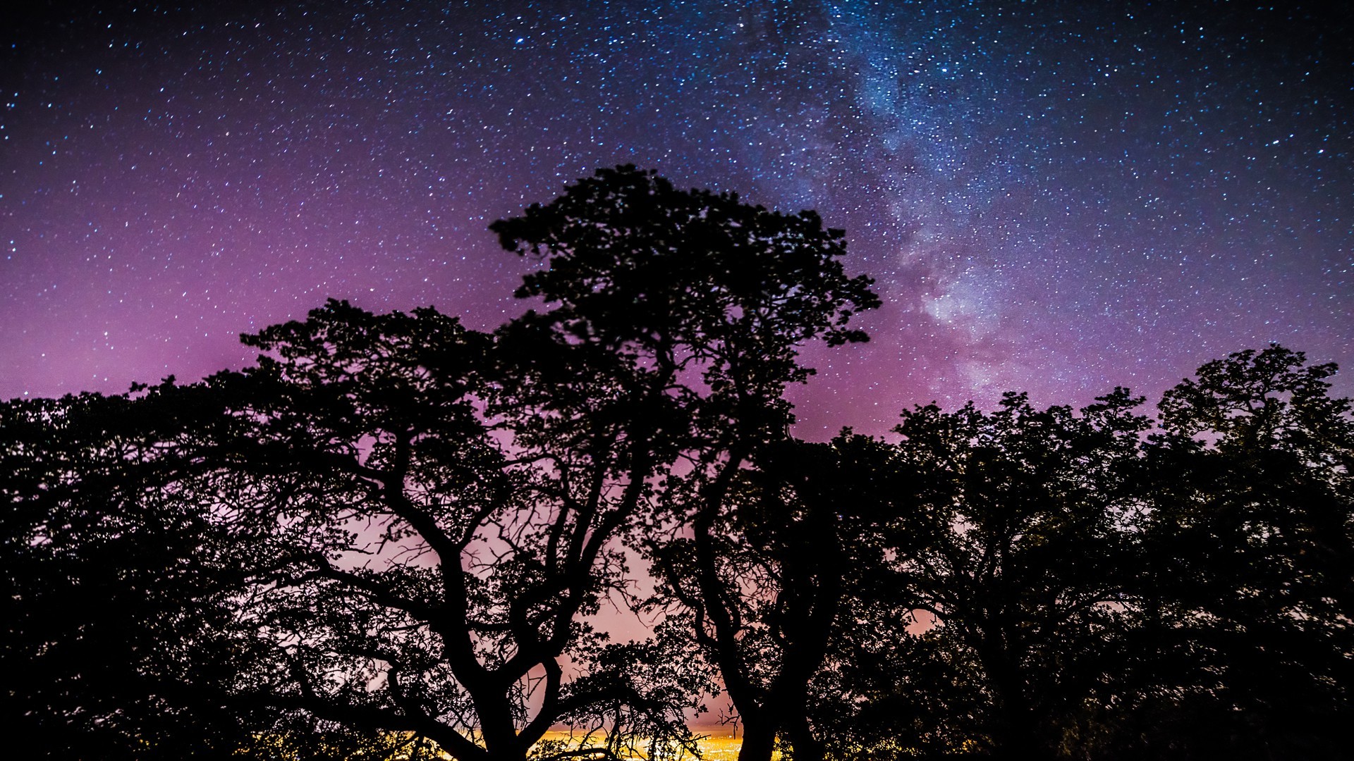 stars, Trees, Galaxy Wallpaper