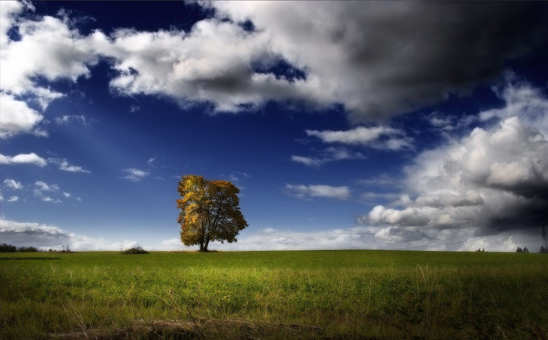 landscape Wallpaper