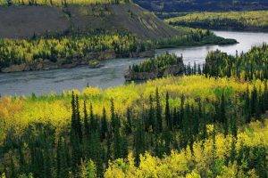 landscape, Yukon River
