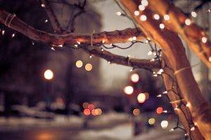 city, Cityscape, Trees, Lights, Christmas, Winter, Nature, Urban, Depth Of Field, Bokeh