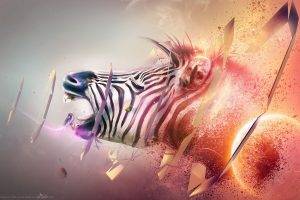 zebras, Shattered, Animals, Digital Art, Shapes, Adam Spizak