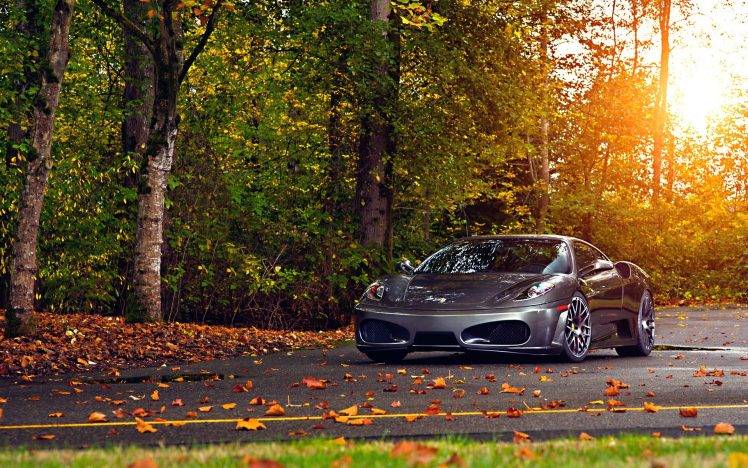 Ferrari, Car, Fall, Leaves, Road, Ferrari F430 Scuderia, Ferrari F430 HD Wallpaper Desktop Background