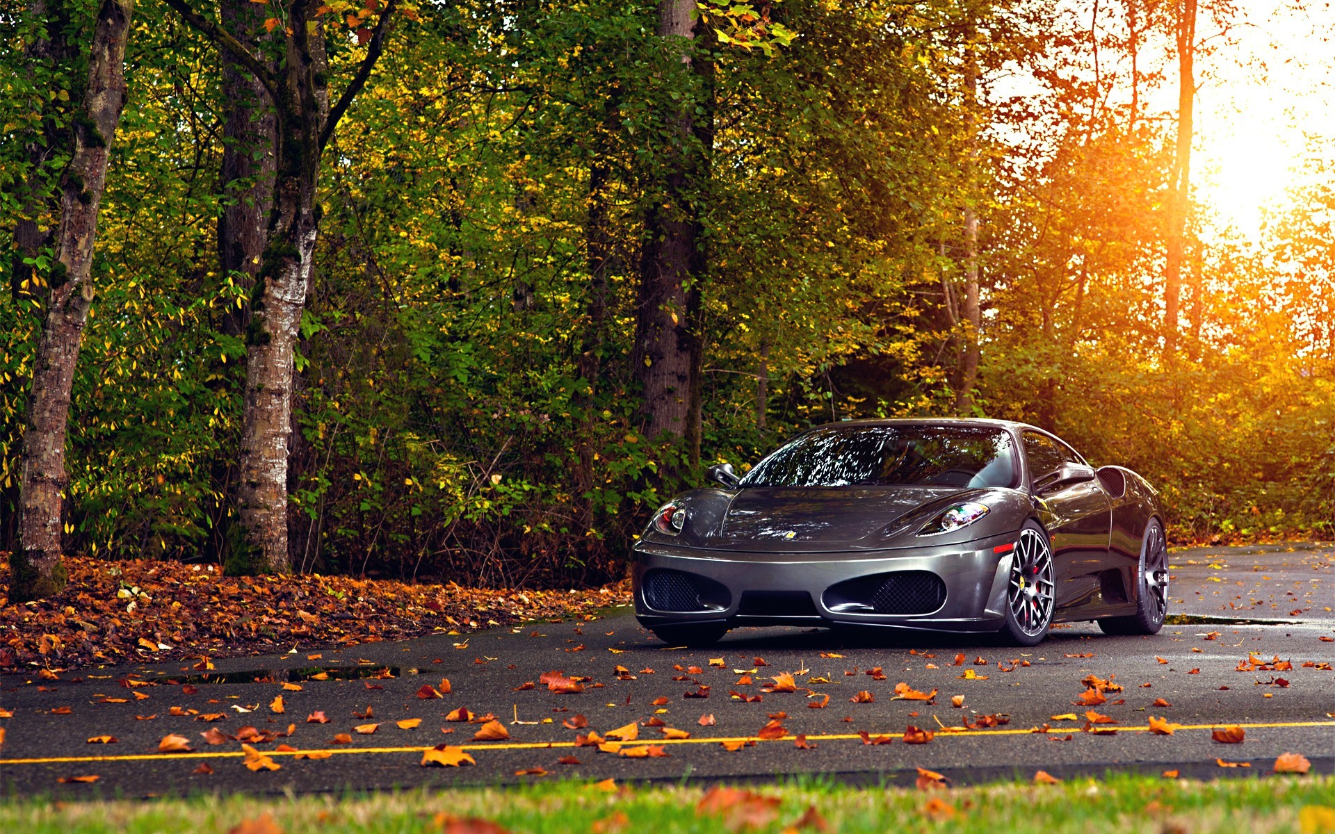 Ferrari, Car, Fall, Leaves, Road, Ferrari F430 Scuderia, Ferrari F430