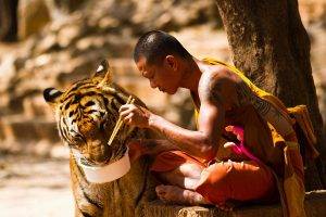 monks, Animals, Eating, Tiger, Trees, Tattoo, Chopsticks, Sitting
