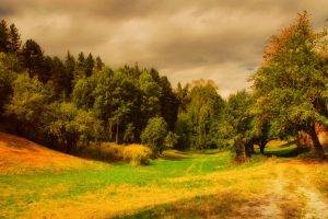 nature, Trees, Grass, HDR, Clouds