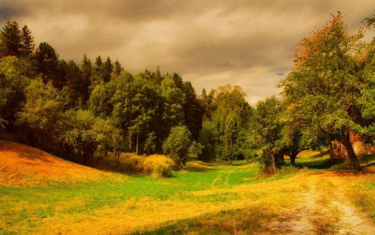 nature, Trees, Grass, HDR, Clouds HD Wallpaper Desktop Background