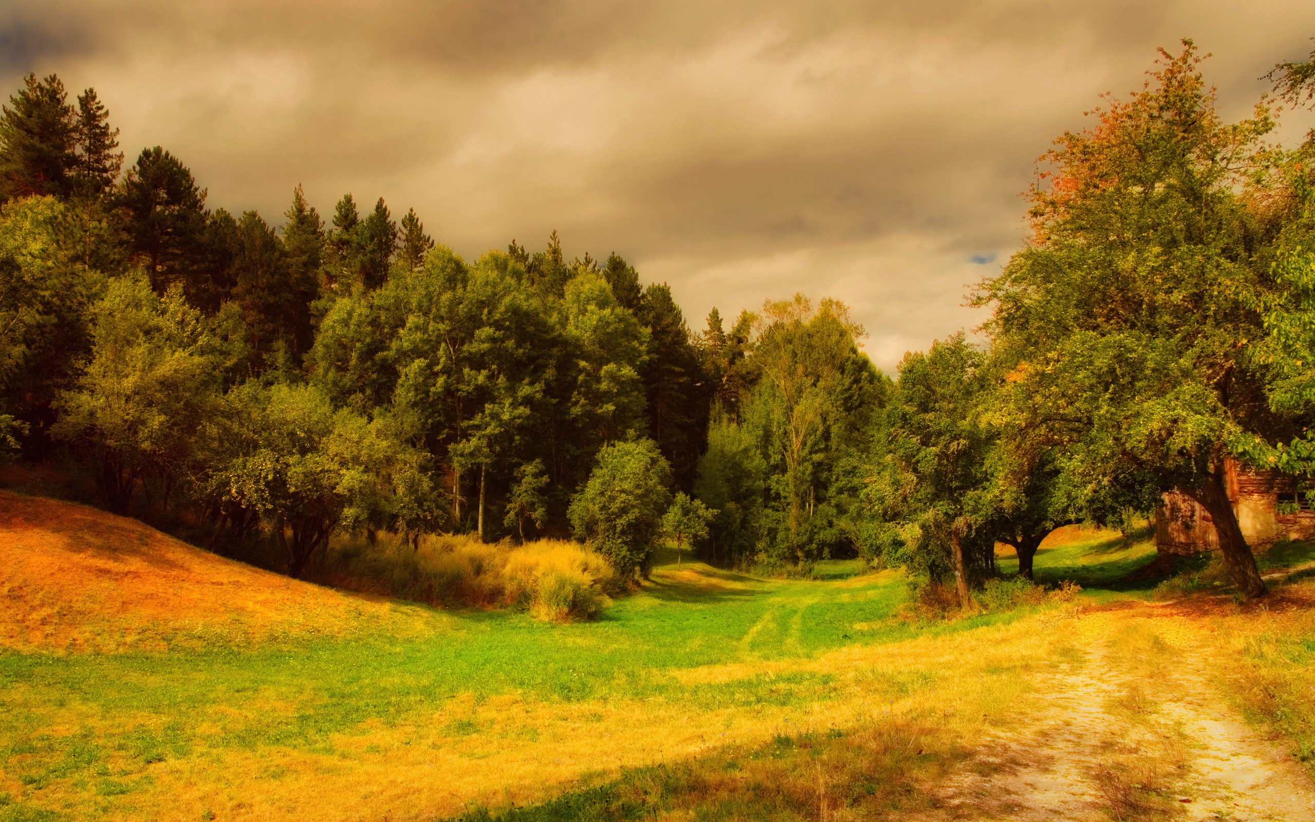 nature, Trees, Grass, HDR, Clouds Wallpaper