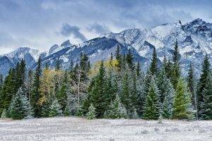nature, Landscape, Mountain, Trees, Snow